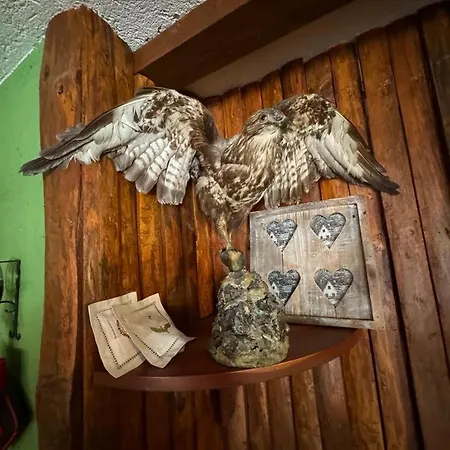 Appartamento Sauze D'Oulx Апартаменты Саузе-д'Ульс